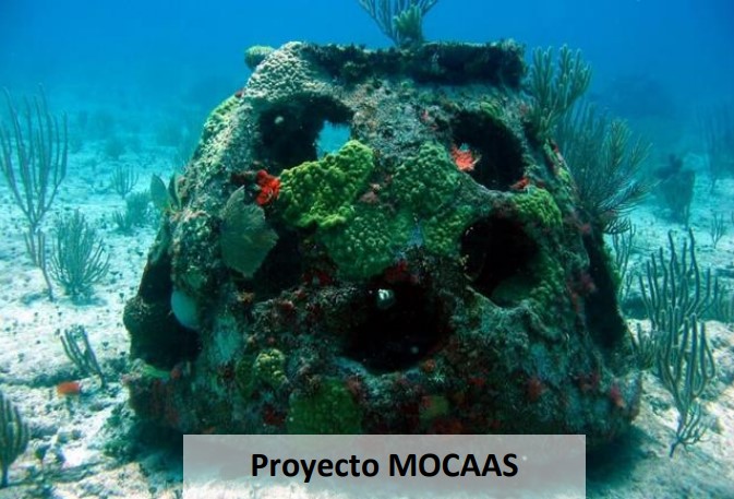 MOCAAS: arrecifes artificiales sostenibles para la recuperación de la biodiversidad en zonas portuarias